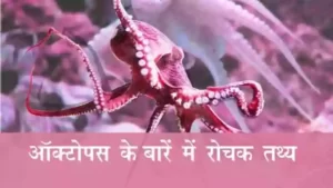 Facts-about-Octopus-in-hindi