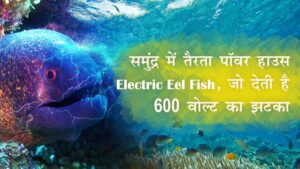 Facts-about-electric-eel-fish-in-hindi