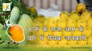 Interesting-facts-about-Mango-in-hindi