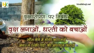 Essay on Save Tree Essay on Importance of Tree Plantation in Hindi