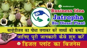 Jatropha-Bio-Diesel-Plant-Business-Idea-hindi