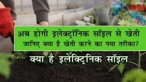 What is Electronic Soil in hindi | इलेक्ट्रॉनिक मिट्टी क्या है?